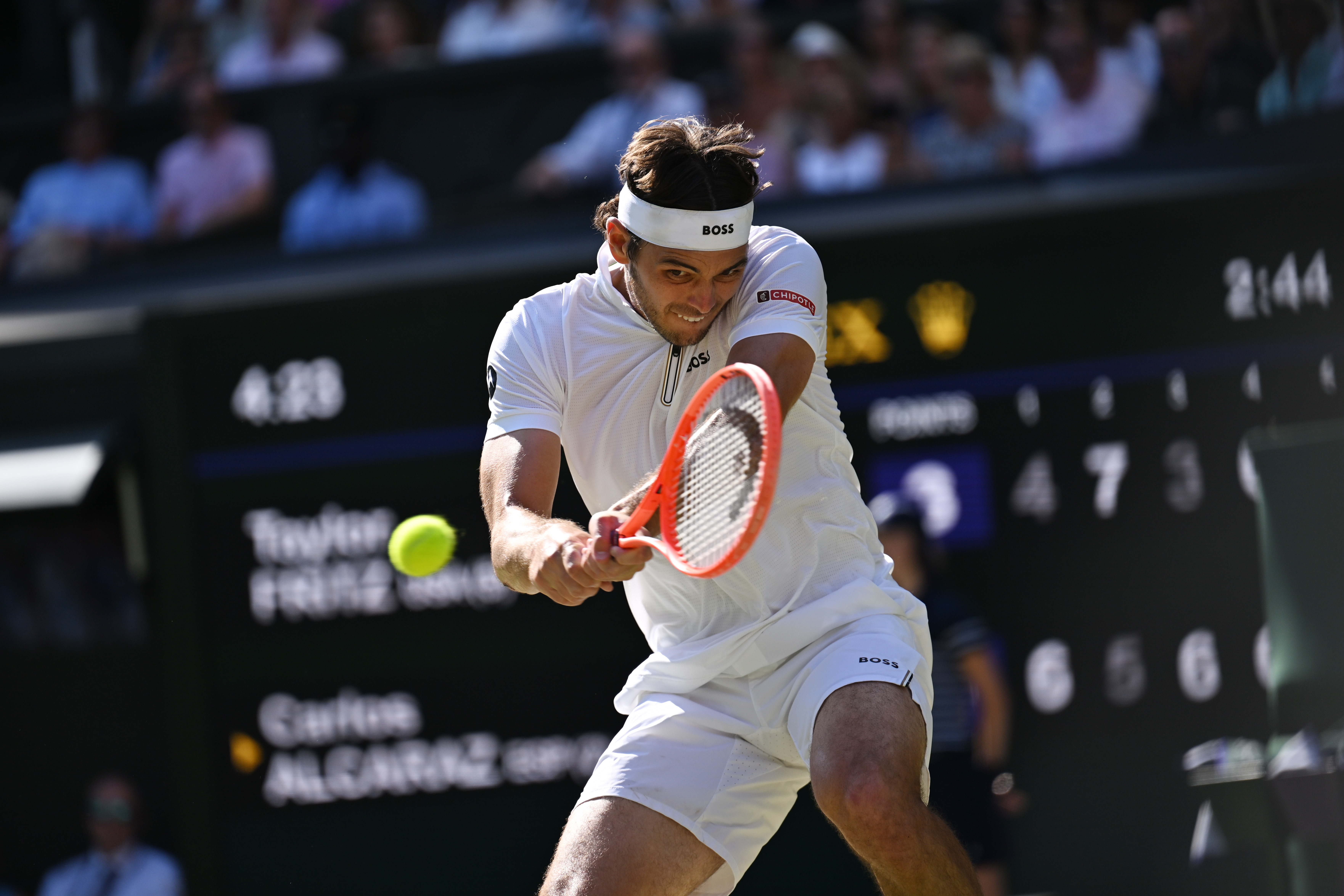 关于温网横扫戴维斯杯，阿尔卡拉斯惊艳四座的信息