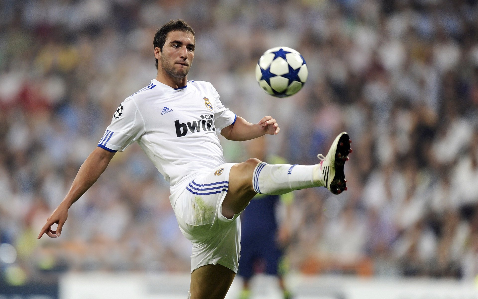 国家荣誉与商业表演，当戴维斯杯以横扫姿态让拉沃尔杯黯然失色